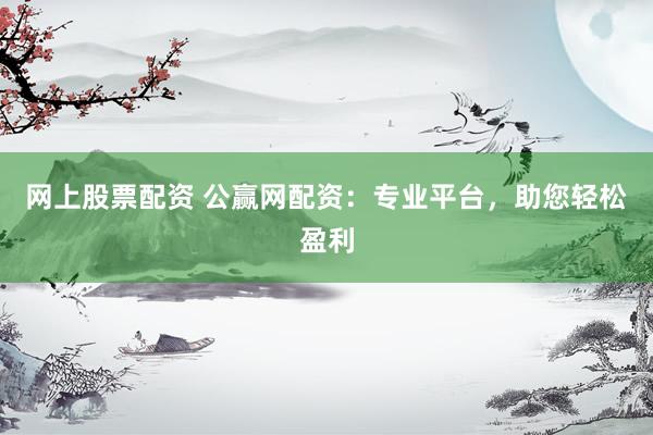 网上股票配资 公赢网配资：专业平台，助您轻松盈利