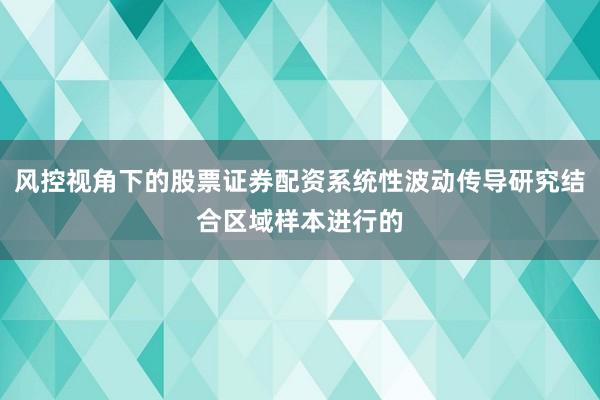 风控视角下的股票证券配资系统性波动传导研究结合区域样本进行的
