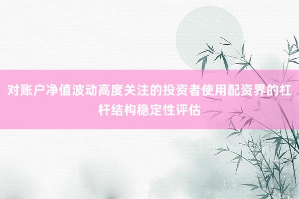 对账户净值波动高度关注的投资者使用配资界的杠杆结构稳定性评估