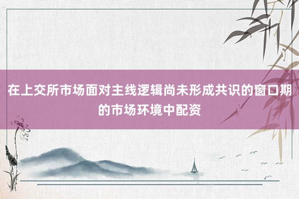 在上交所市场面对主线逻辑尚未形成共识的窗口期的市场环境中配资
