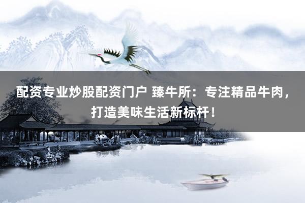 配资专业炒股配资门户 臻牛所：专注精品牛肉，打造美味生活新标杆！