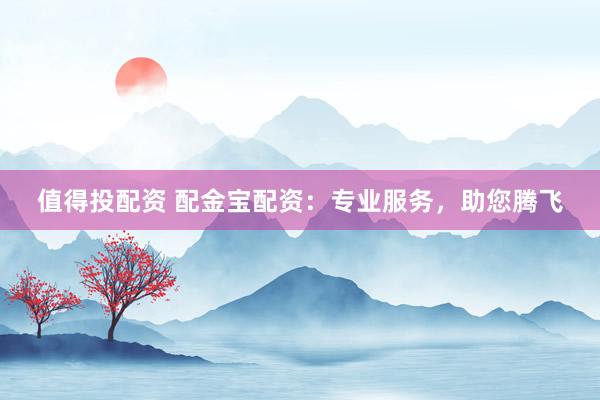 值得投配资 配金宝配资：专业服务，助您腾飞
