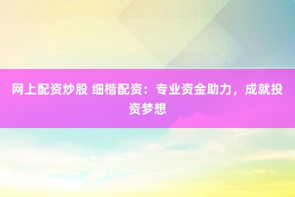 网上配资炒股 细楷配资：专业资金助力，成就投资梦想