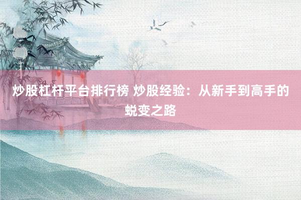 炒股杠杆平台排行榜 炒股经验：从新手到高手的蜕变之路