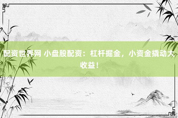 配资世界网 小盘股配资：杠杆掘金，小资金撬动大收益！