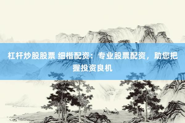 杠杆炒股股票 细楷配资：专业股票配资，助您把握投资良机