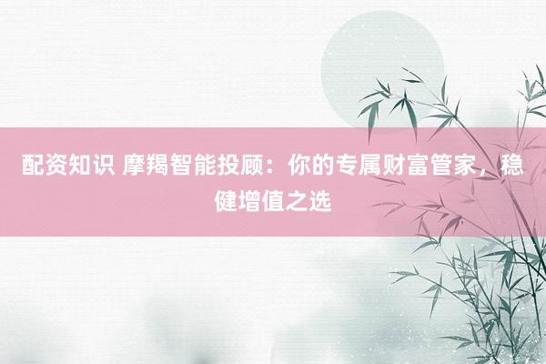配资知识 摩羯智能投顾：你的专属财富管家，稳健增值之选
