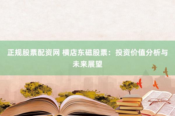 正规股票配资网 横店东磁股票：投资价值分析与未来展望
